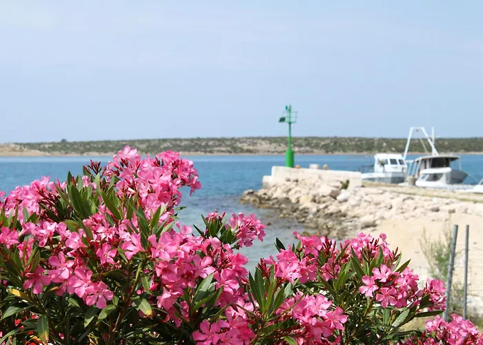 아파트 By The Sea Kosljun, Pag - 203 Košljun